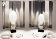 250W mercury blend light.