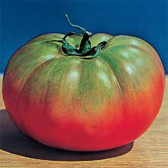 Pomodoro Il Pantano Romanesco Seeds